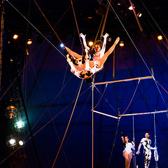 big apple circus